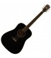 Washburn WD10S Dreadnought Acoustic Guitar in Black