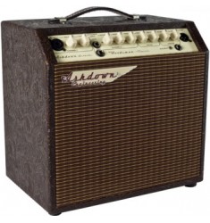 Ashdown Woodsman Classic 40W  Acoustic Combo