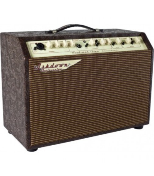 Ashdown Woodsman Jumbo 65W  Acoustic Combo