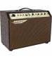 Ashdown Woodsman Jumbo 65W  Acoustic Combo