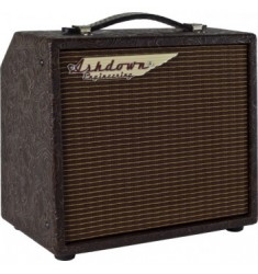 Ashdown Woodsman  Parlour 25W  Acoustic Combo