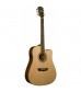 Washburn WD10SCE Electro Acoustic Guitar