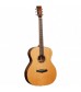 Tanglewood Java Series Acoustic Guitar Natural Gloss Finish