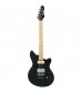 Ibanez Roadcore Chris Miller Signature in Black Flat