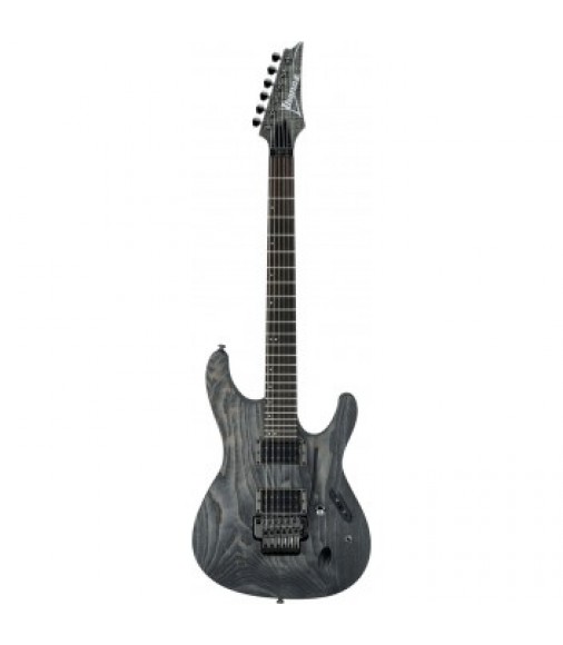 Ibanez Paul Wagonner Signature Guitar