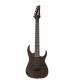 Ibanez RG7421 7 String Guitar in Walnut Flat
