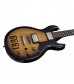 Schecter ZV 6661 Guitar