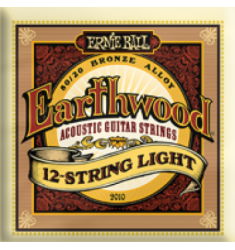 Ernie Ball  2010