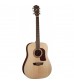Washburn HD10S Acoustic Guitar