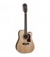 Washburn HD10SCE12 Electro Acoustic