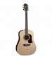 Washburn HD20S Acoustic Guitar