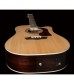 Washburn HD20SCE Electro Acoustic