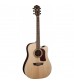 Washburn HD20SCE Electro Acoustic