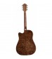 Washburn HD30SCE Electro Acoustic