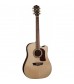 Washburn HD30SCE Electro Acoustic