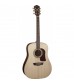 Washburn HD30S Acoustic Guitar