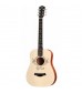 Taylor TS-BT Taylor Swift Baby Taylor Acoustic Guitar