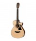 Taylor 312ce 12-Fret Cutaway Electro Acoustic Guitar