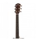 Taylor 414e Ovangkol Grand Auditorium Electro Acoustic Guitar, ES2