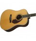 Fender PM-1 Standard Dreadnought, Natural