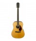 Fender PM-1 Standard Dreadnought, Natural