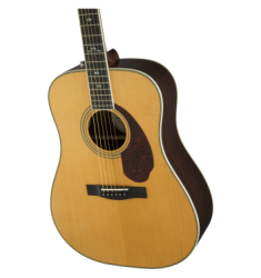 Fender PM-1 Deluxe Dreadnought, Natural