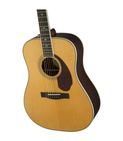 Fender PM-1 Deluxe Dreadnought, Natural