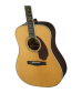 Fender PM-1 Deluxe Dreadnought, Natural