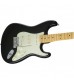 Fender The Edge Stratocaster, Maple Fingerboard, Black