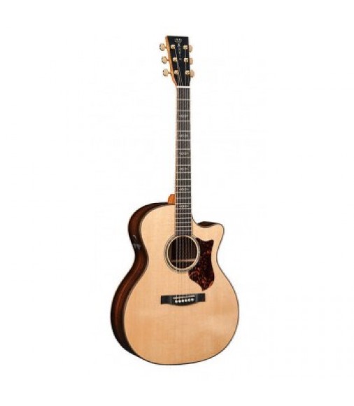 Martin GPCPA1 Plus Electro Acoustic Guitar