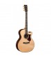 Martin GPCPA1 Plus Electro Acoustic Guitar