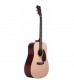 Martin D-16GT Acoustic Guitar