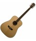 Washburn WD15S Acoustic Guitar