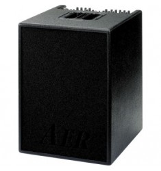 AER Basic Performer 2 Bass Instrument Combo Amplifier