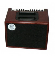 AER Compact 60 Acoustic Guitar Amplifier Mahogany Oak
