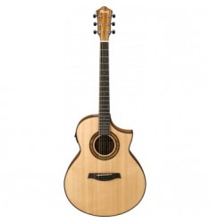Ibanez AEW23ZW Electro Acoustic in Natural