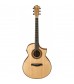 Ibanez AEW23ZW Electro Acoustic in Natural