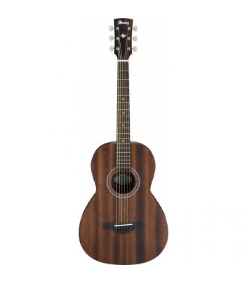 Ibanez AVN2 Artwood Parlour Guitar in Natural