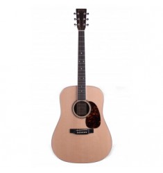 Martin D-16RGT Acoustic Guitar