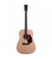 Martin D-16RGT Acoustic Guitar