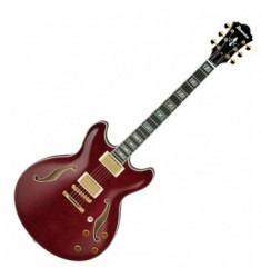 Ibanez EKM100 Eric Krasno Signature Guitar in Wine Red