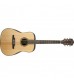 Fender F1000 Acoustic Guitar