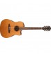 Fender F1020SCE Electro Acoustic Guitar