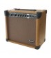 Eastcoast 20AAR 20 Watt Acoustic Combo Amplifier