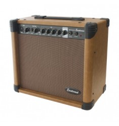 Eastcoast 40AAR 40W Acoustic Combo Amplifier