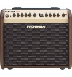 Fishman Pro LBX 500 Loudbox Mini Acoustic Guitar Amplifier