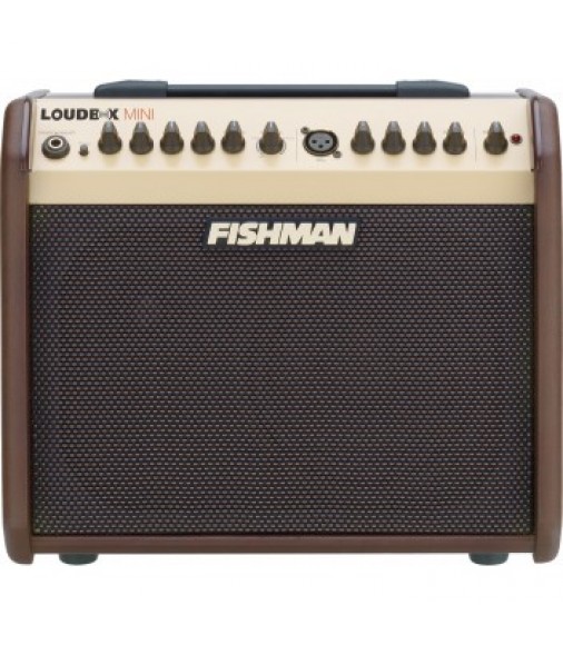 Fishman Pro LBX 500 Loudbox Mini Acoustic Guitar Amplifier