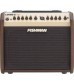 Fishman Pro LBX 500 Loudbox Mini Acoustic Guitar Amplifier