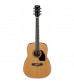 Ibanez PF17 Acoustic Guitar