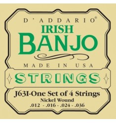 D'Addario J63i Irish Tenor Banjo Strings, Nickel, 9-30